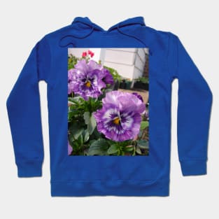 Beautiful Purple Pansies in the Garden Hoodie